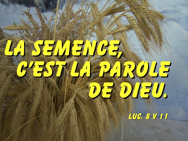 LA SEMENCE C'EST LA PAROLE DE DIEU